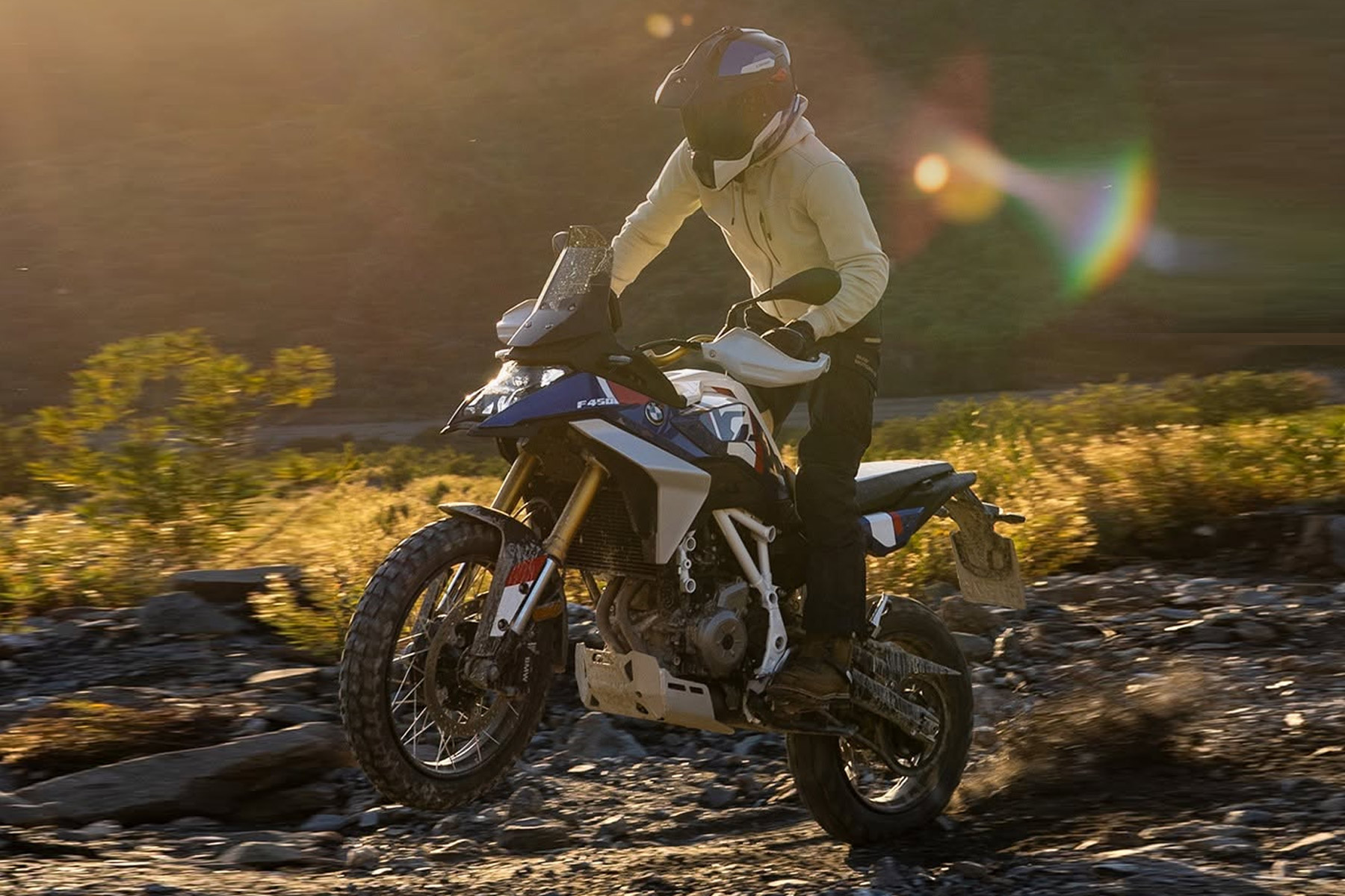 ----------BMW_450_GS.jpg