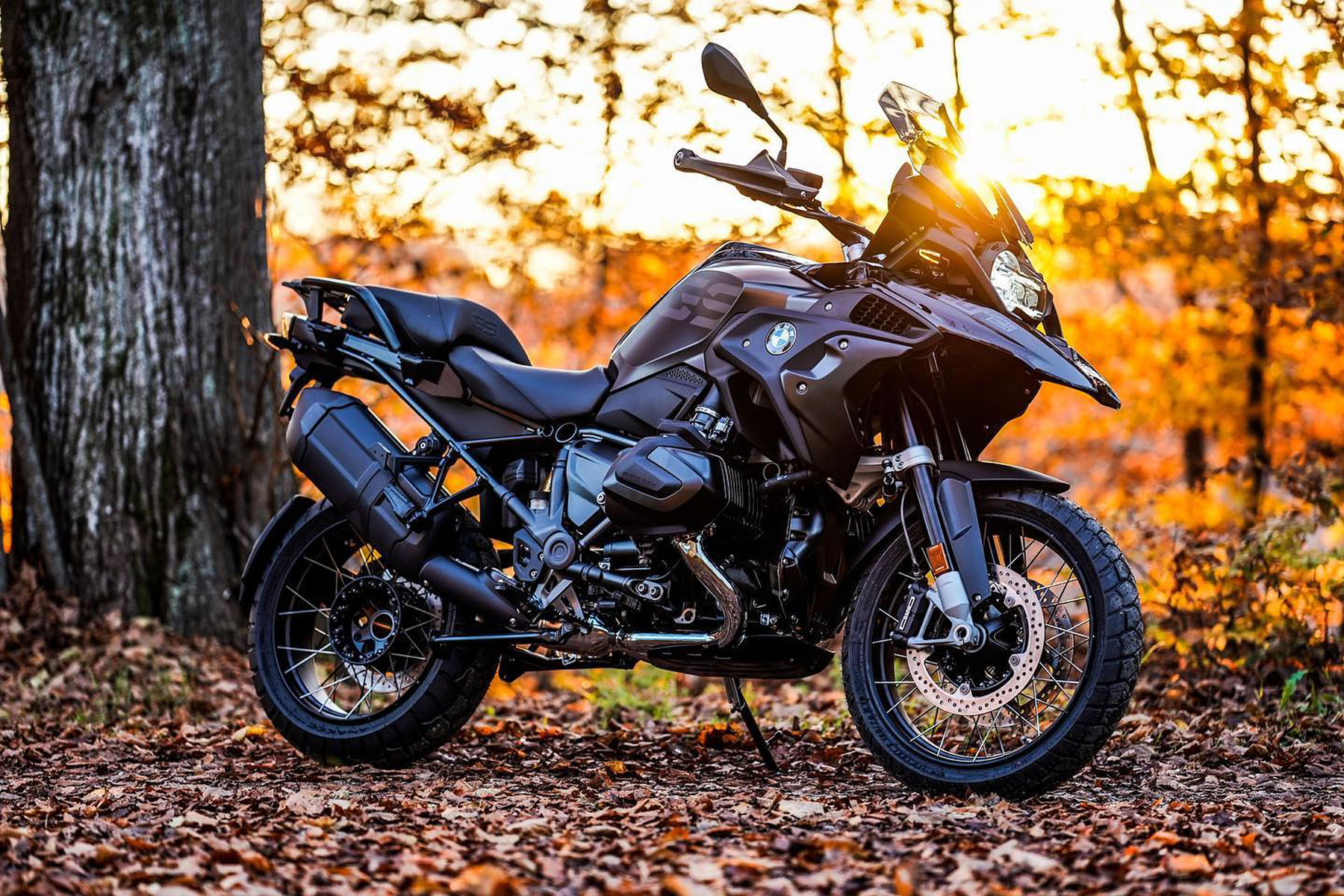 BMW_R1250GS_LC_TripleBlack_Martin_Edition02.jpg